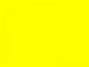 flag_yellow